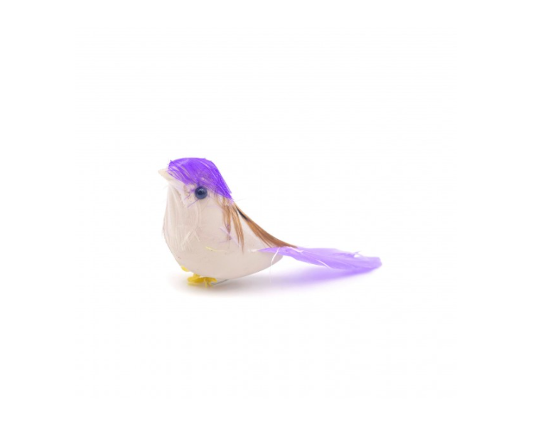 Uccellino Viola Uccellino Viola