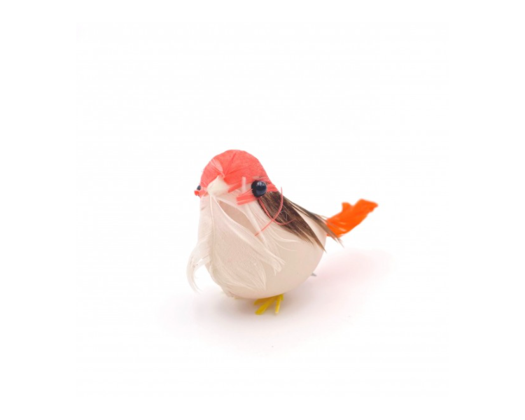 Uccellino Rosso Uccellino Rosso