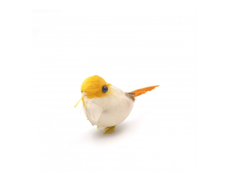Uccellino Arancione Uccellino Arancione
