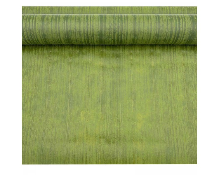 Rotolo TNT Avvolgifiori Verde 0,53x10m Rotolo TNT Avvolgifiori Verde 0,53x10m