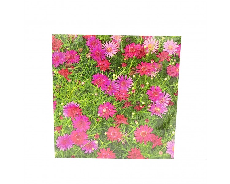 Tovaglioli Fantasia 16,5x16,5cm 20 pezzi Tovaglioli Fantasia 16,5x16,5cm 20 pezzi