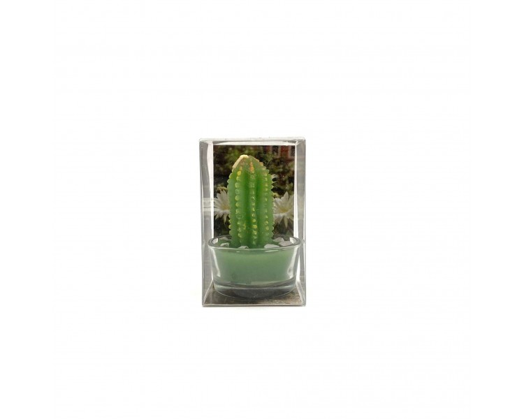 Candela Cactus con Contenitore Vetro | 7x5x5cm Candela Cactus con Contenitore Vetro | 7x5x5cm
