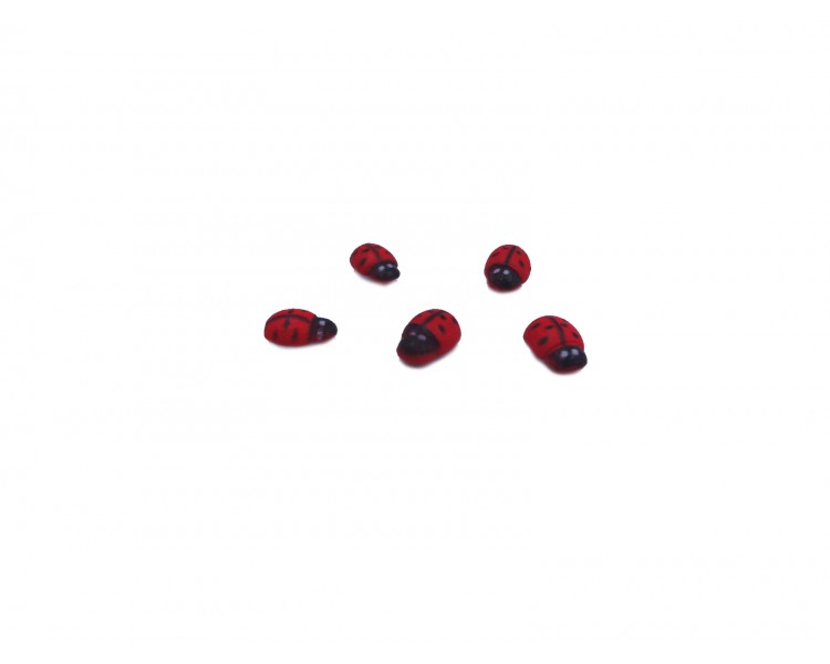Coccinelle autoadesive in legno |14X19mm / 5 pezzi Coccinelle autoadesive in legno |14X19mm / 5 pezzi