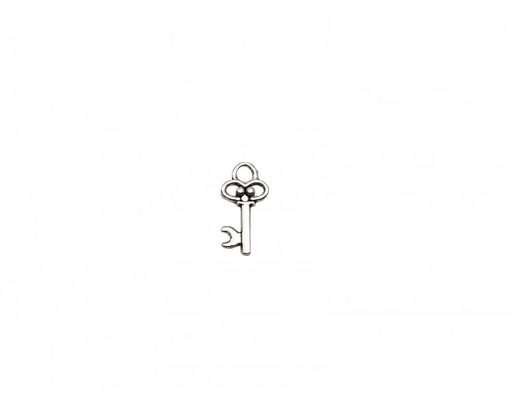 Pendente chiave | 20 mm Pendente chiave | 20 mm
