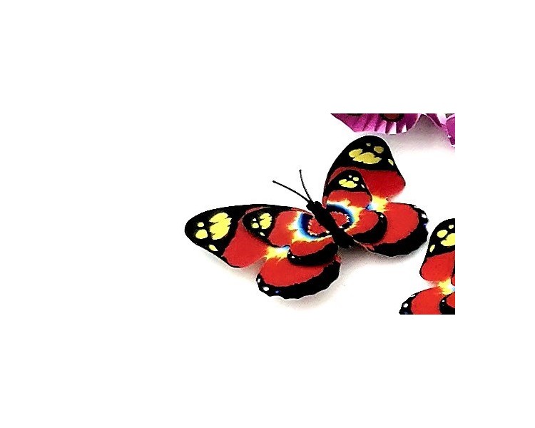 Farfalla Decorativa 7x5,5 cm Farfalla Decorativa 7x5,5 cm