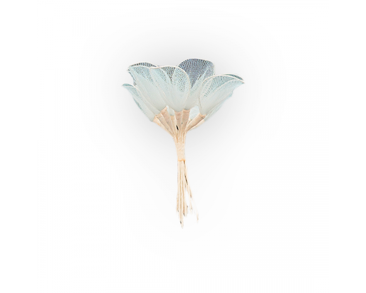 Fiore da Comporre per Decorazioni Matrimonio Fiore da Comporre per Decorazioni Matrimonio