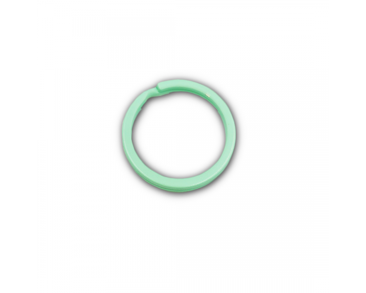 Anello di metallo Portachiavi | Verde Anello di metallo Portachiavi | Verde